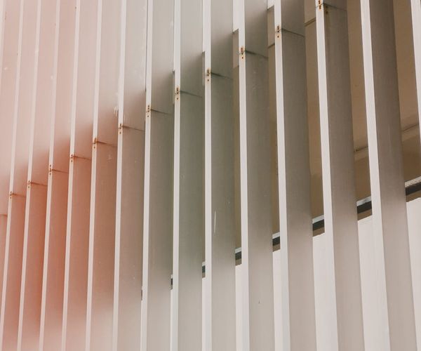 Symmetric patterns suggesting order and harmony in nature